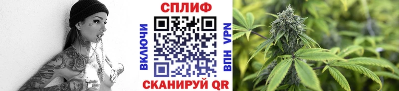 Альфа ПВП Ессентуки