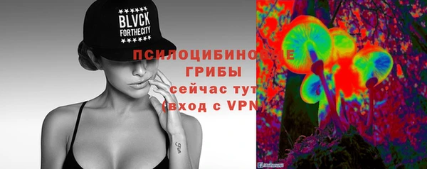 шишки Балахна