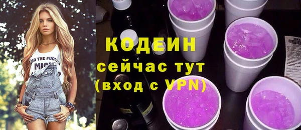 шишки Балахна