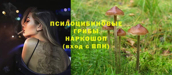 сатива Балабаново
