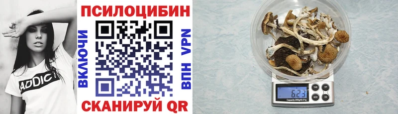 купить наркотик  omg ССЫЛКА  Галлюциногенные грибы GOLDEN TEACHER  Ессентуки 